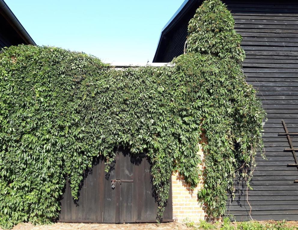 Ein Bett Im Kornfeld - Haus Fernweh - Innenpool Schonfeld  Esterno foto