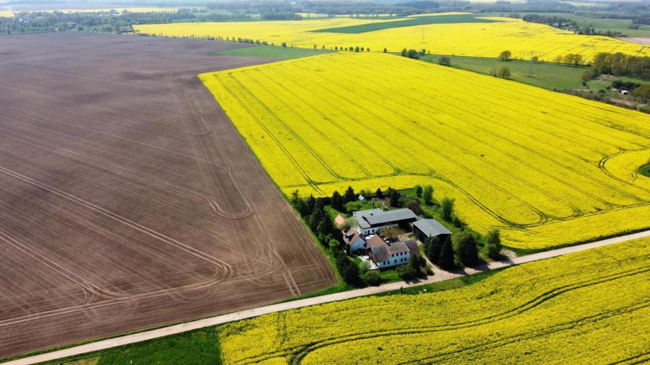 Ein Bett Im Kornfeld - Haus Fernweh - Innenpool Schonfeld  Esterno foto